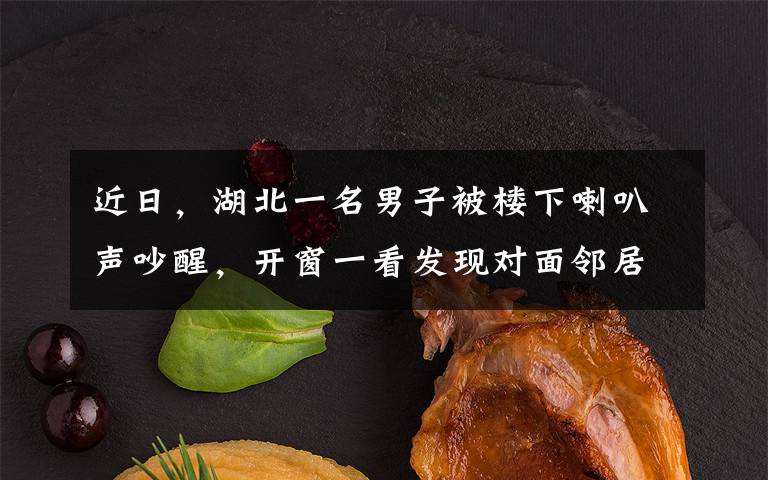 近日,湖北一名男子被楼下喇叭声吵醒,开窗一看发现对面邻居在嫁女儿,当他拉近镜头后瞬间笑翻。