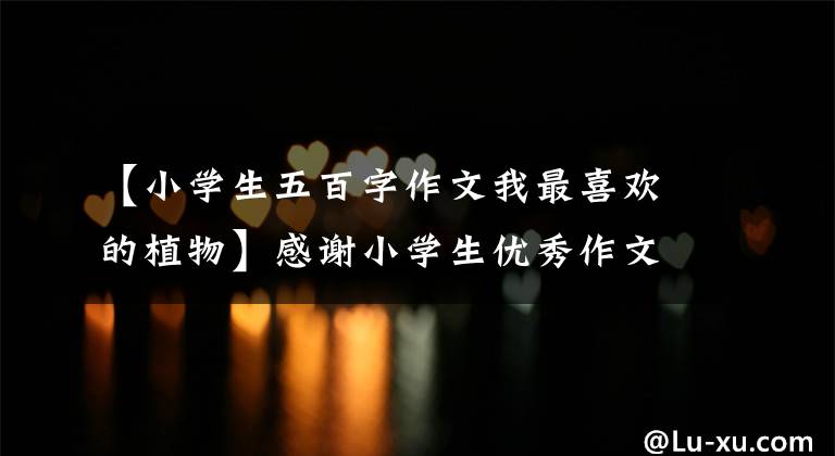 【小学生五百字作文我最喜欢的植物】感谢小学生优秀作文:写植物作文,精选4篇范文