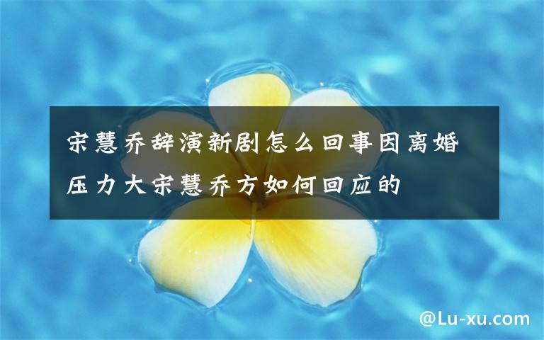 宋慧乔辞演新剧怎么回事因离婚压力大宋慧乔方如何回应的