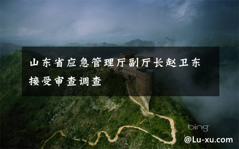 山东省应急管理厅副厅长赵卫东接受审查调查