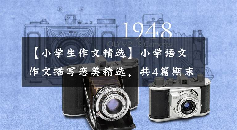 【小学生作文精选】小学语文作文描写恋美精选，共4篇期末被压制收藏