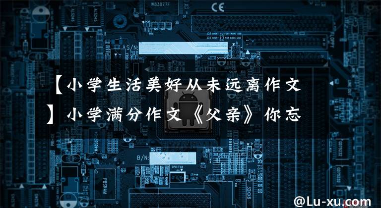 【小学生活美好从未远离作文】小学满分作文《父亲》你忘记了世界,但只有我没有忘记