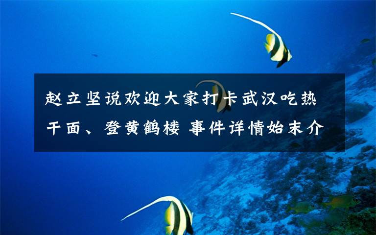 赵立坚说欢迎大家打卡武汉吃热干面、登黄鹤楼 事件详情始末介绍!