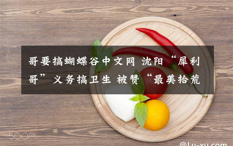 哥要搞蝴蝶谷中文网 沈阳“犀利哥”义务搞卫生 被赞“最美拾荒老人”