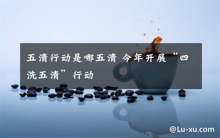 五清行动是哪五清 今年开展“四洗五清”行动