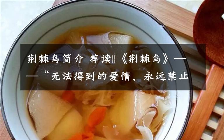 荆棘鸟简介 荐读||《荆棘鸟》——“无法得到的爱情，永远禁止的荆棘鸟。”