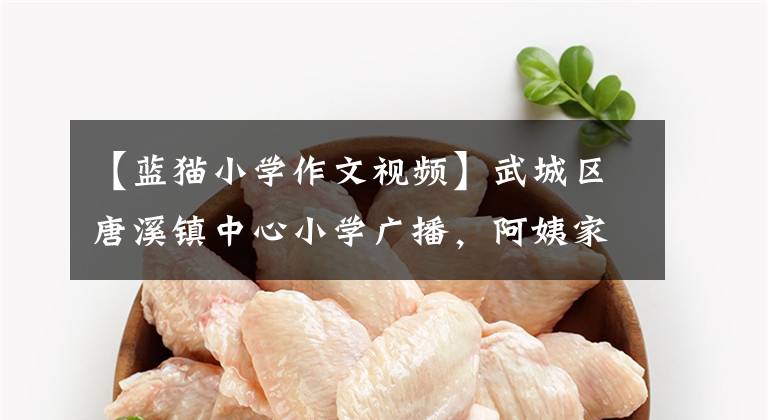 【蓝猫小学作文视频】武城区唐溪镇中心小学广播,阿姨家的猫