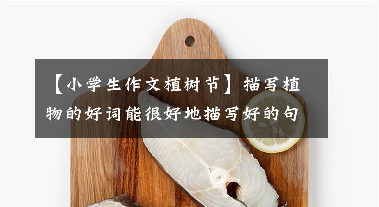 【小学生作文植树节】描写植物的好词能很好地描写好的句子,在植树节写作文肯定能写出来。