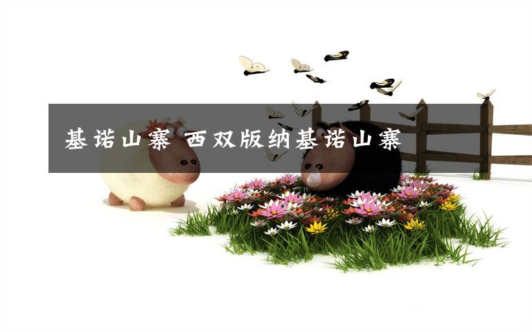 基诺山寨 西双版纳基诺山寨