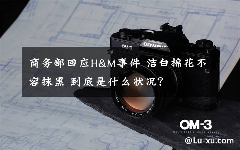 商务部回应H&M事件 洁白棉花不容抹黑 到底是什么状况?