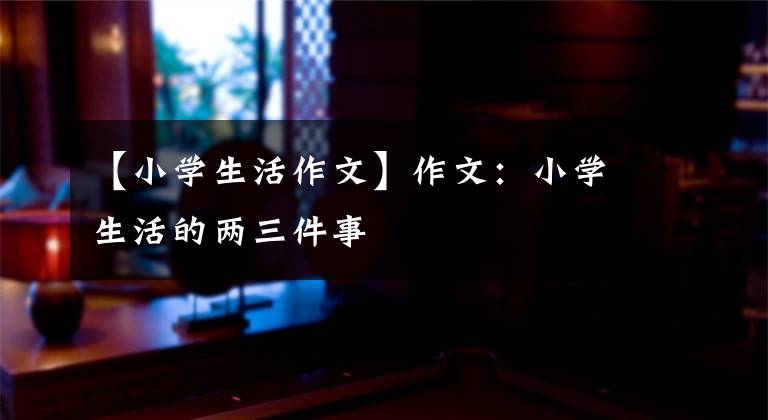【小学生活作文】作文：小学生活的两三件事