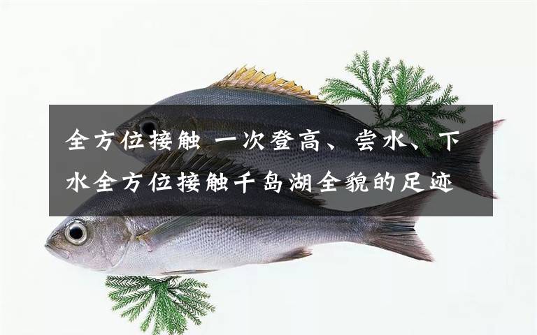 全方位接触 一次登高、尝水、下水全方位接触千岛湖全貌的足迹