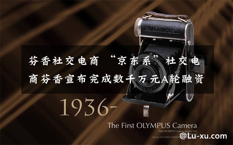 芬香社交电商 “京东系”社交电商芬香宣布完成数千万元A轮融资