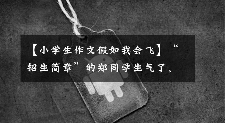 【小学生作文假如我会飞】“招生简章”的郑同学生气了,那些农学生呢?