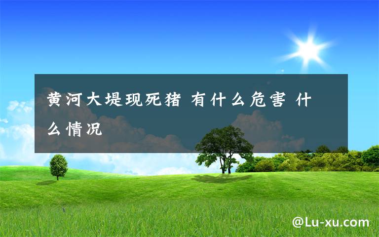 黄河大堤现死猪 有什么危害 什么情况