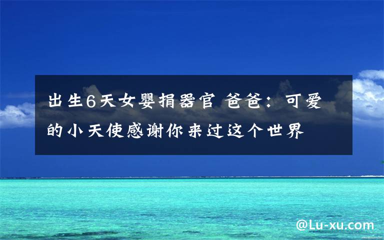 出生6天女婴捐器官 爸爸:可爱的小天使感谢你来过这个世界