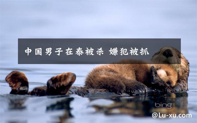 中国男子在泰被杀 嫌犯被抓