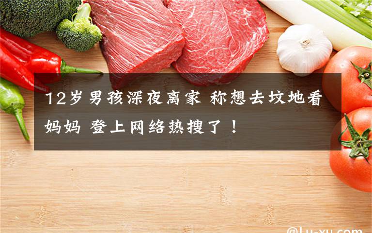 12岁男孩深夜离家 称想去坟地看妈妈 登上网络热搜了!