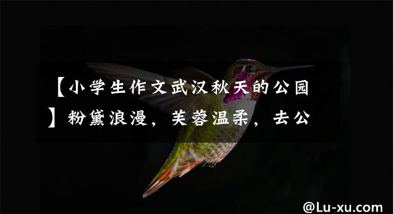 【小学生作文武汉秋天的公园】粉黛浪漫，芙蓉温柔，去公园追逐美丽的秋色