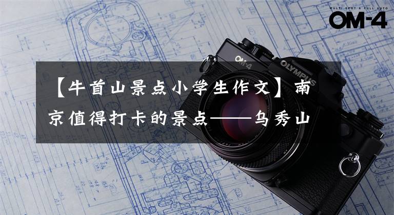 【牛首山景点小学生作文】南京值得打卡的景点——乌秀山:以最一年春天的优势超越了延流万黄岛。