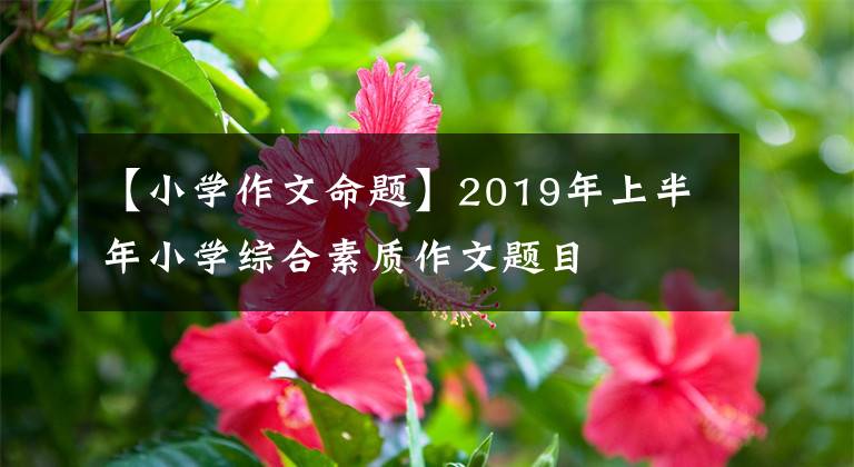 【小学作文命题】2019年上半年小学综合素质作文题目