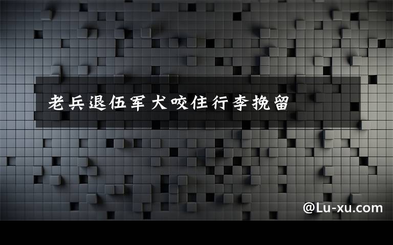老兵退伍军犬咬住行李挽留