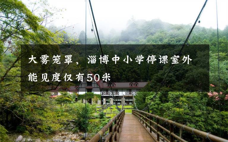 大雾笼罩,淄博中小学停课室外能见度仅有50米