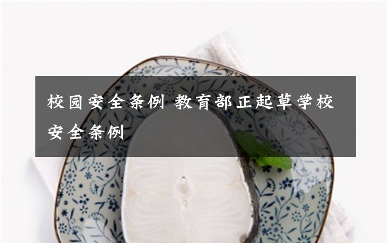 校园安全条例 教育部正起草学校安全条例