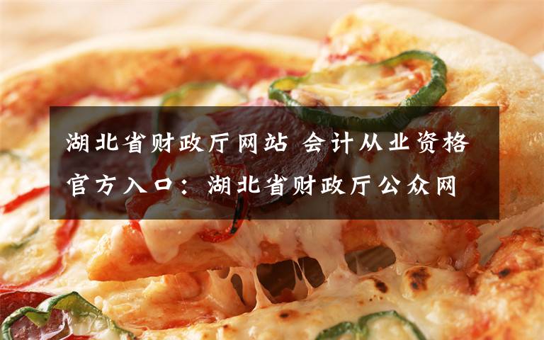 湖北省财政厅网站 会计从业资格官方入口:湖北省财政厅公众网