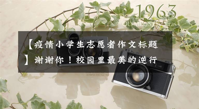 【疫情小学生志愿者作文标题】谢谢你!校园里最美的逆行者|硅酸中心小学领导慰问一线志愿者