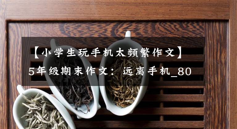 【小学生玩手机太频繁作文】5年级期末作文：远离手机_800字