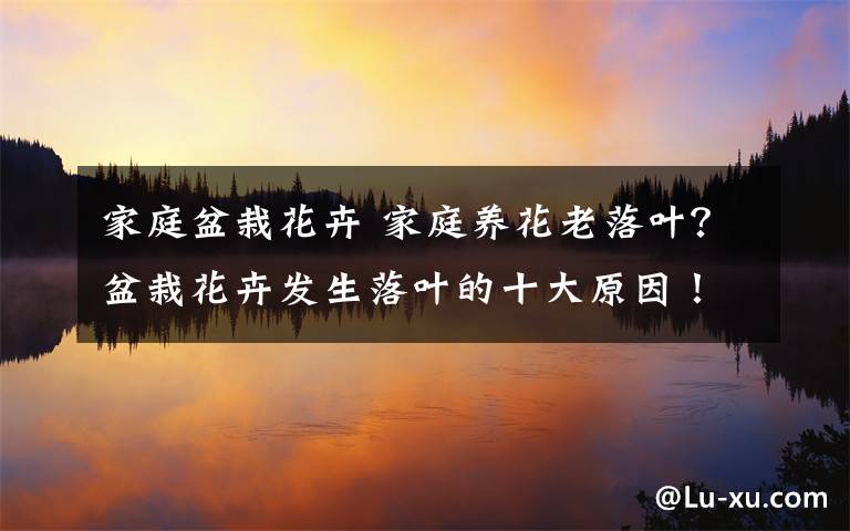 家庭盆栽花卉 家庭养花老落叶?盆栽花卉发生落叶的十大原因!
