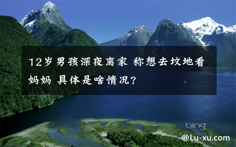 12岁男孩深夜离家 称想去坟地看妈妈 具体是啥情况?