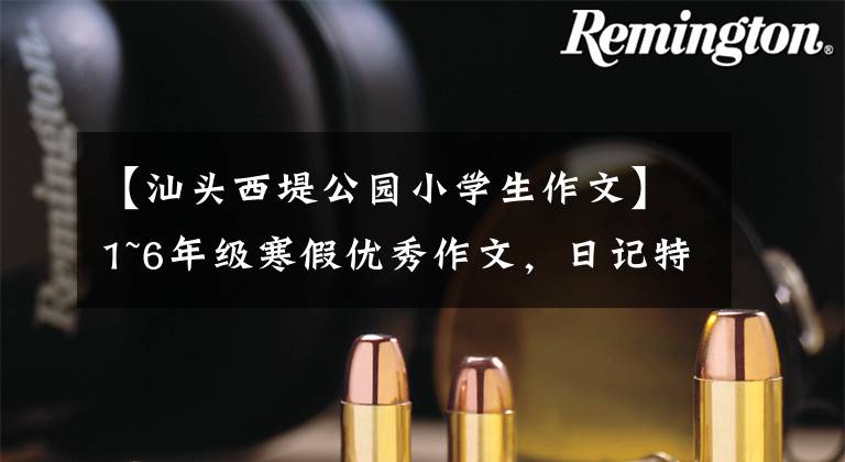 【汕头西堤公园小学生作文】1~6年级寒假优秀作文，日记特辑！