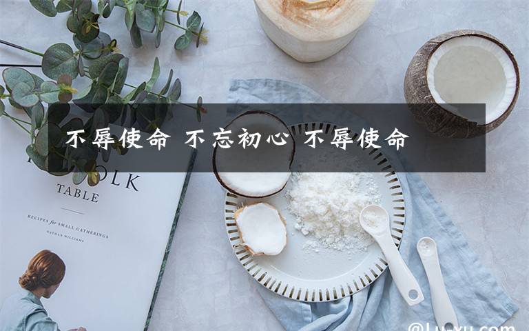 不辱使命 不忘初心 不辱使命