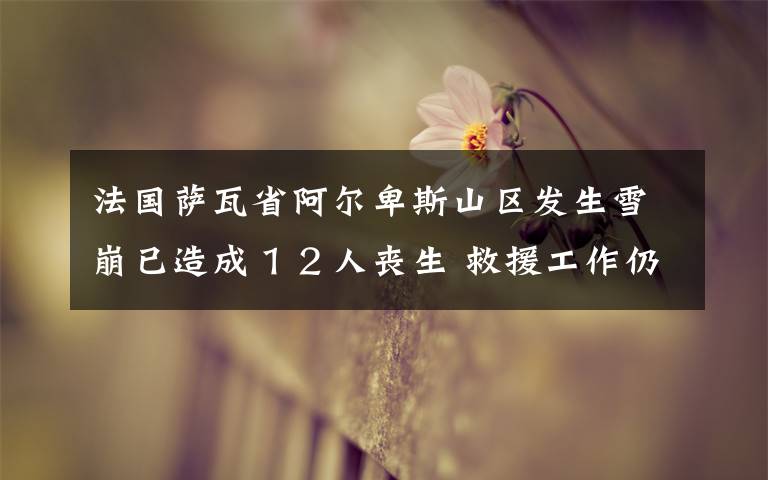 法国萨瓦省阿尔卑斯山区发生雪崩已造成１２人丧生 救援工作仍在进行中 到底什么情况呢？