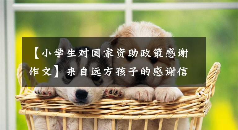 【小学生对国家资助政策感谢作文】来自远方孩子的感谢信
