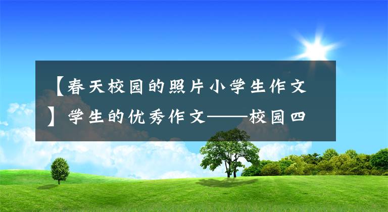 【春天校园的照片小学生作文】学生的优秀作文——校园四季