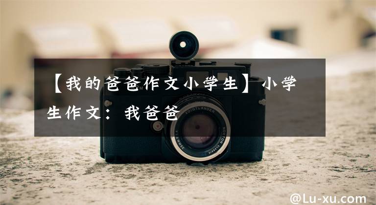 【我的爸爸作文小学生】小学生作文:我爸爸