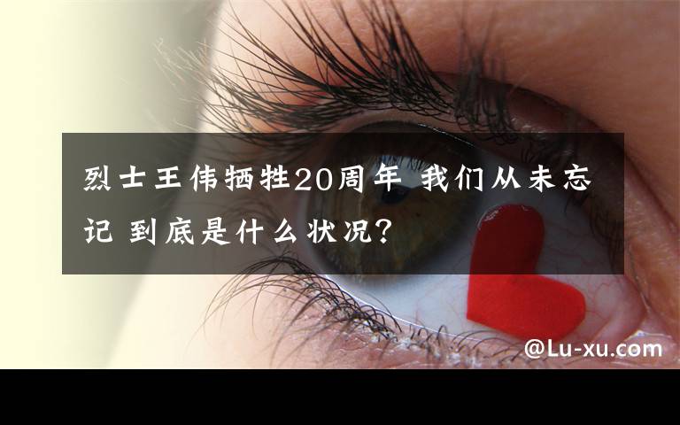 烈士王伟牺牲20周年 我们从未忘记 到底是什么状况？