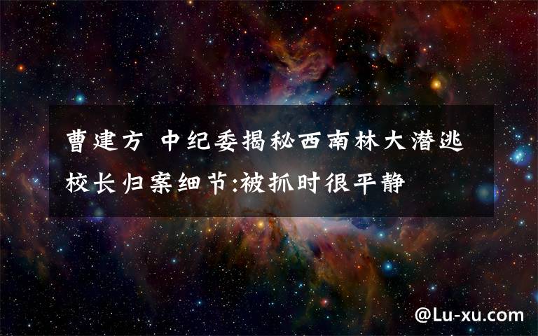 曹建方 中纪委揭秘西南林大潜逃校长归案细节:被抓时很平静