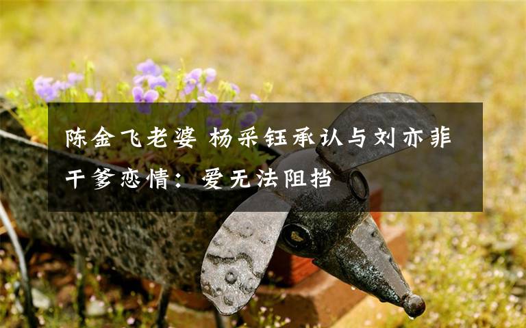陈金飞老婆 杨采钰承认与刘亦菲干爹恋情:爱无法阻挡