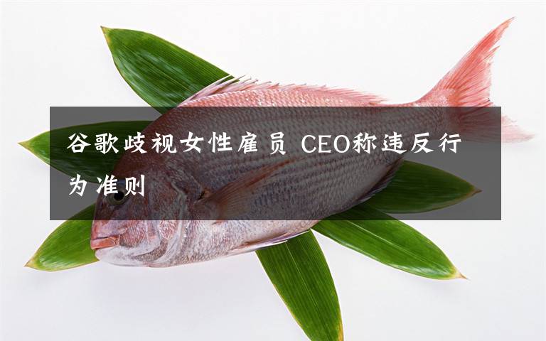 谷歌歧视女性雇员 CEO称违反行为准则