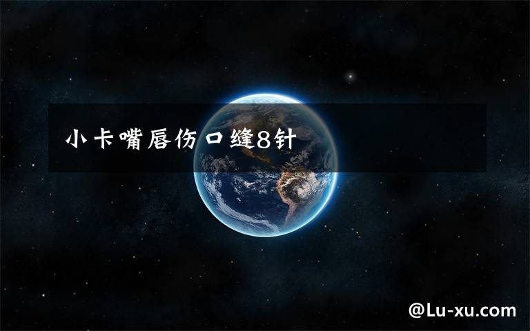 小卡嘴唇伤口缝8针