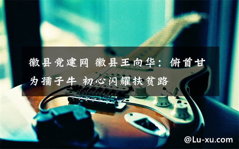 徽县党建网 徽县王向华:俯首甘为孺子牛 初心闪耀扶贫路