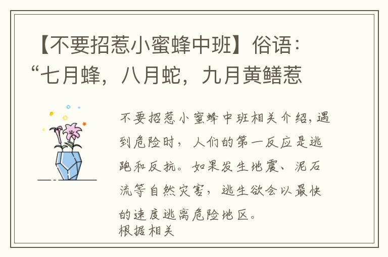 【不要招惹小蜜蜂中班】俗语:“七月蜂,八月蛇,九月黄鳝惹不得”,啥意思?有道理吗?