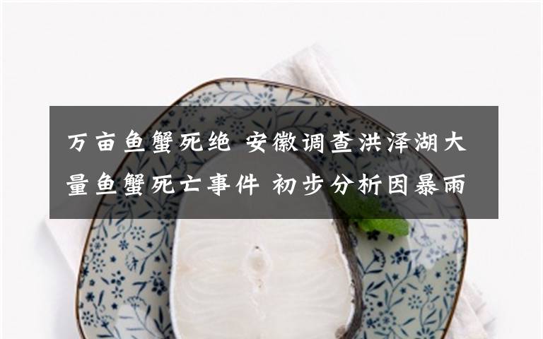 万亩鱼蟹死绝 安徽调查洪泽湖大量鱼蟹死亡事件 初步分析因暴雨洪灾导致