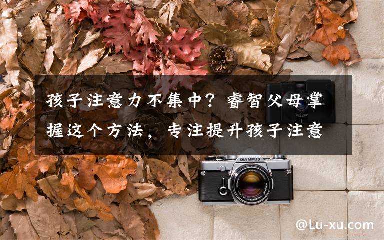 孩子注意力不集中？睿智父母掌握这个方法，专注提升孩子注意力