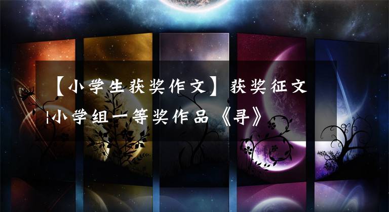 【小学生获奖作文】获奖征文|小学组一等奖作品《寻》