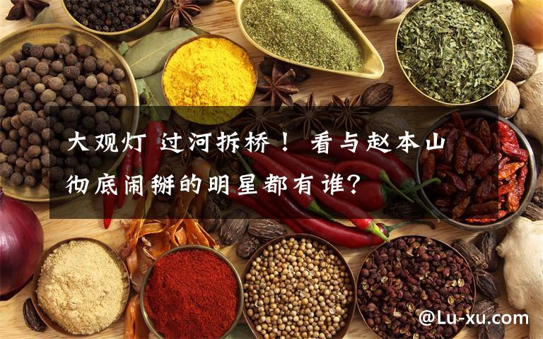 大观灯 过河拆桥! 看与赵本山彻底闹掰的明星都有谁?